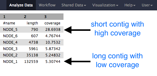 spades output contigs