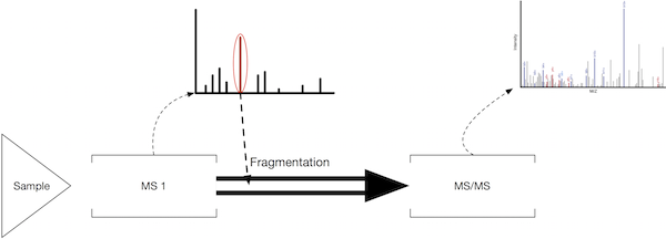 Tandem MS Schematic